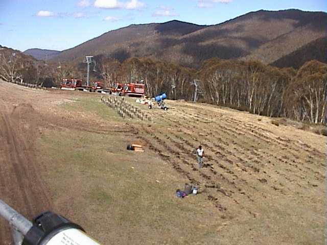 And more at Lover�s Leap station