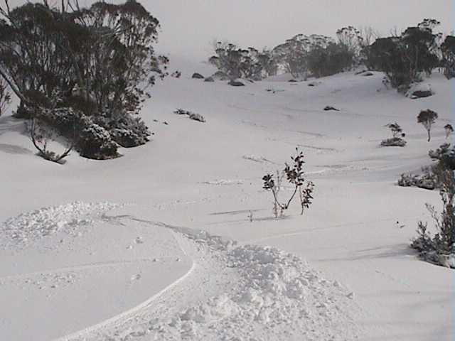 Freshies top to bottom � just fantastic for this time of year