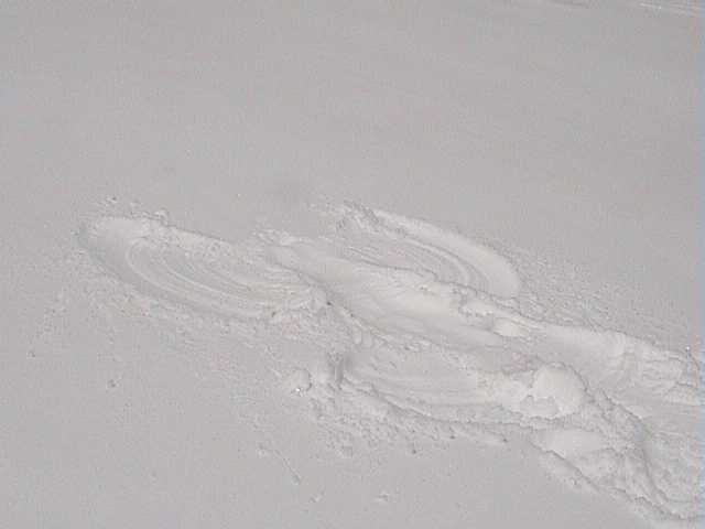 Jenny’s snow angel
