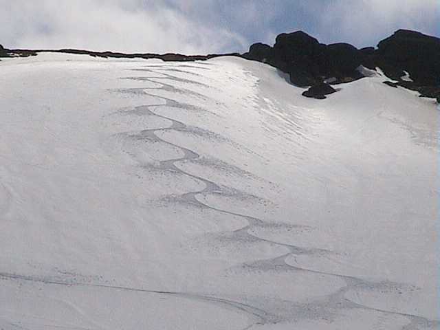Ben�s tracks above Cruiser chair on Saturday