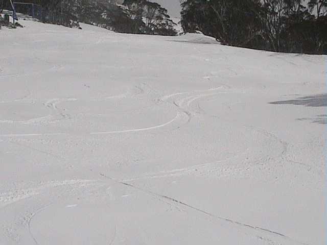 Freshies on Supertrail � Friday morning