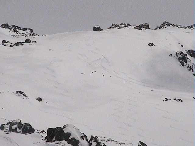 Fresh tracks off Signature Hill - after yesterday�s tracks were covered overnight