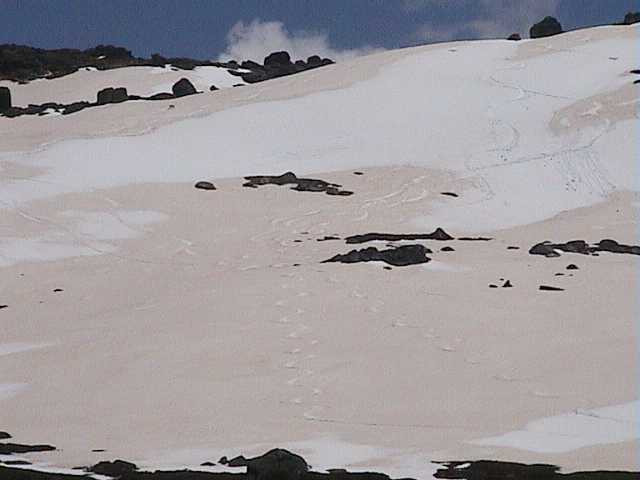Leaving the carnage for lunch at Eagle’s Nest