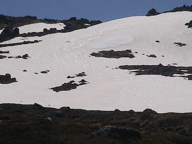 We just can�t get enough Signature Hill