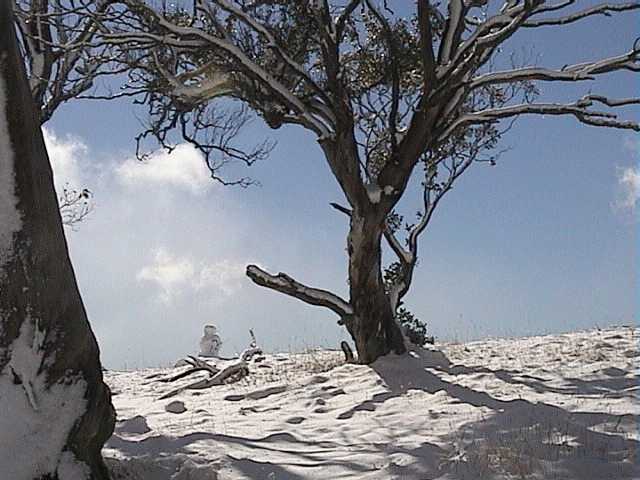 The sun shone � but not for long