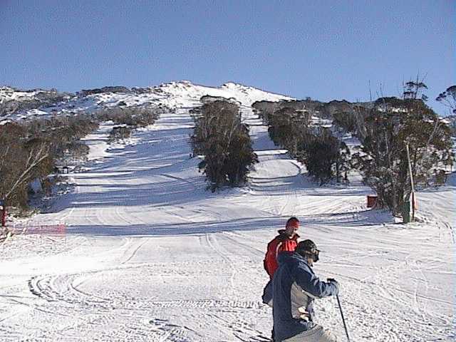 Fresh snow, blue skies, no wind, uncrowded slopes � paradise
