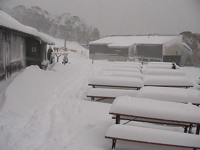 Saturday morning � top of Merritts chair