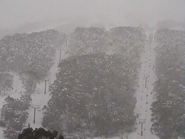 Sunday morning � you could ski or board to the village on any run