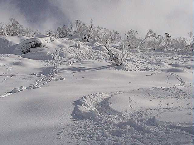 Wet snow balling in Golf Course bowl � less than stable