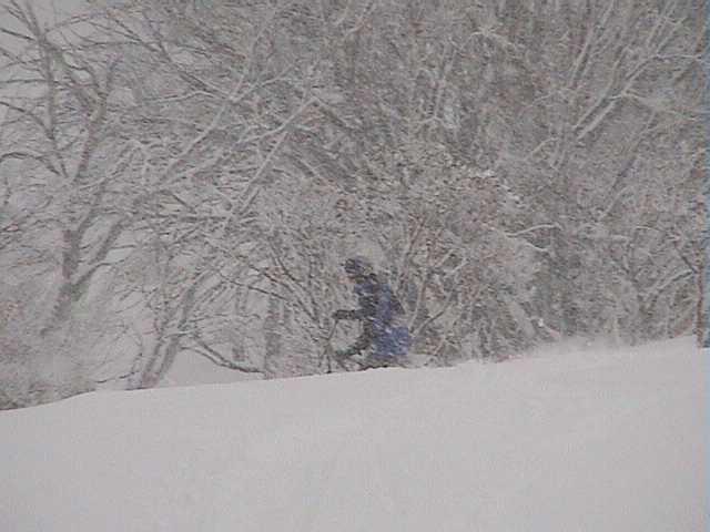 Like a scene from Japan � Peter disappears in heavy snow fall