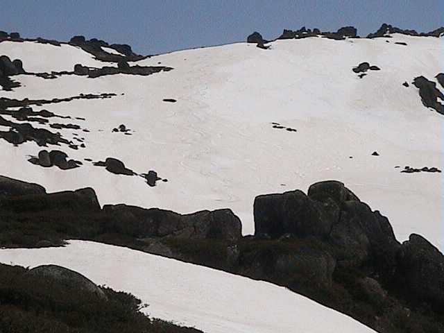 With Saturday�s tracks melted away, Ray and I return to Signature Hill on Sunday