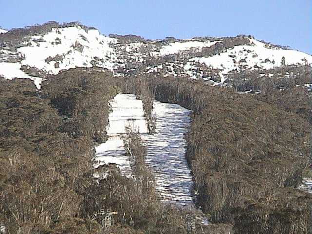 Fresh snow on High Noon � photo taken early Saturday morning