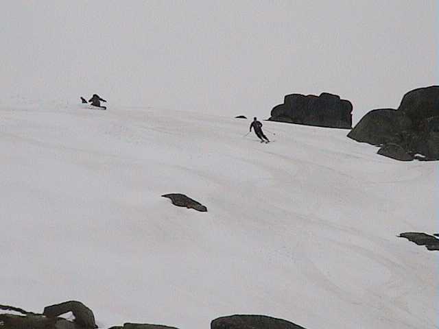Getting busy out here � photo by Lynne