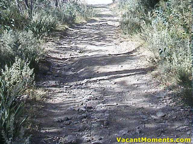 Bunny Walk exit � rough and lumpy