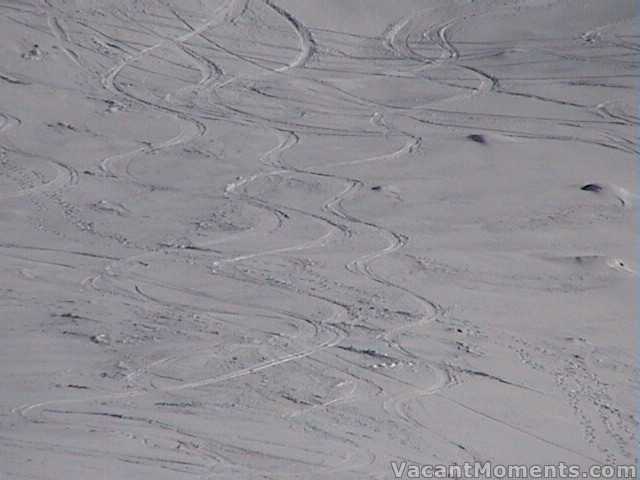 Real snow � real turns � below Signature Hill