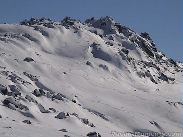 Signature Hill � freshies for the keen