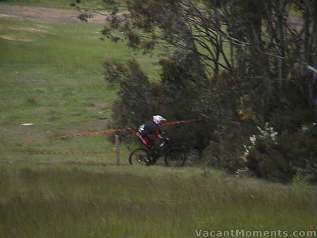 Watch out for those trees - Sunday race day