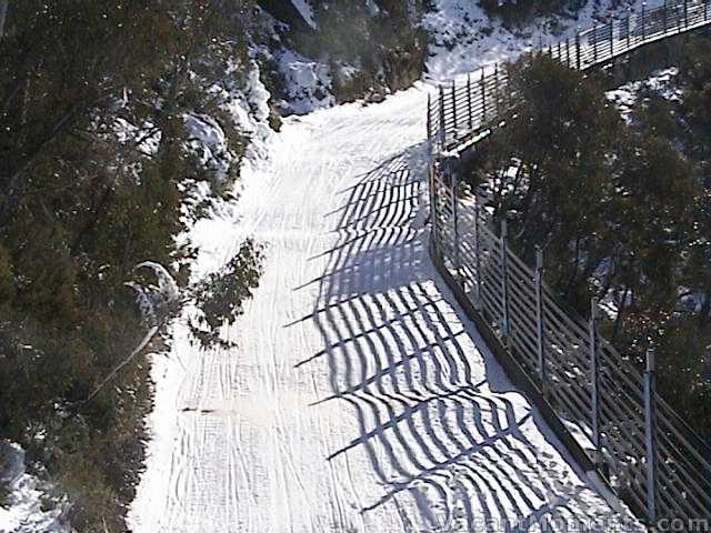 The Cat Track � looking good