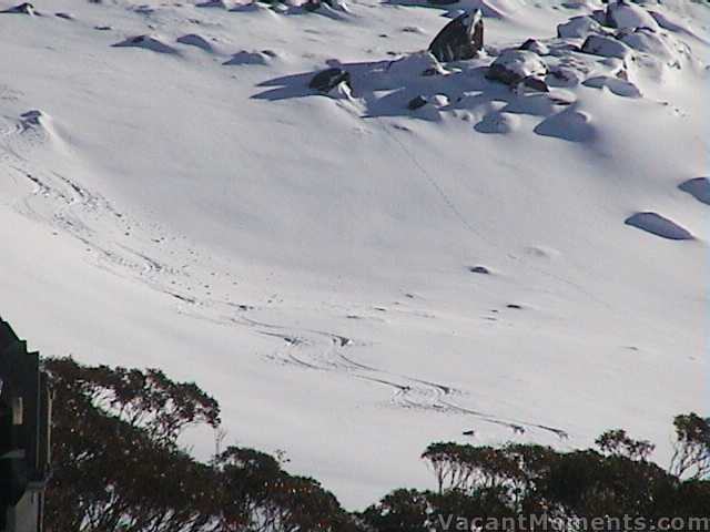 The first decent set of turns I�ve seen this season � Roscoe & Grahame