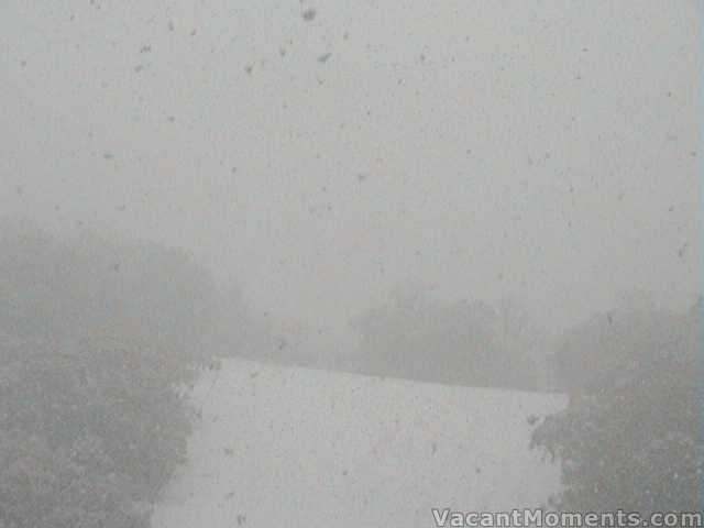 Friday�s snow fall - at its height