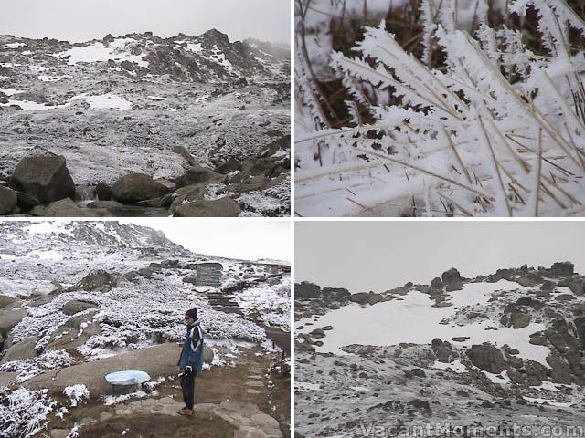 Images from Saturday�s post lunch stroll