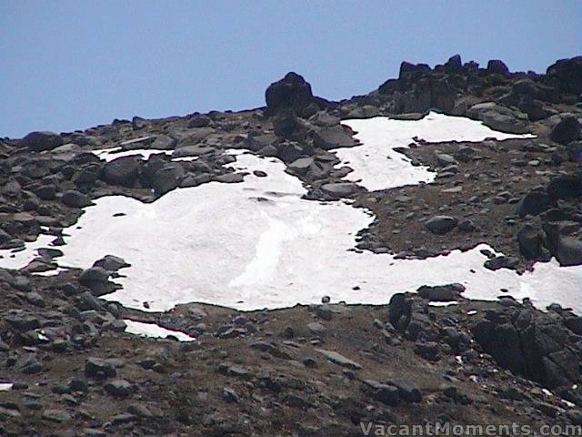 So much has melted � there�s no sign of our tracks from last Sunday