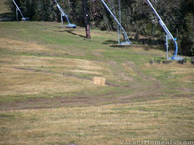 More hoses and hay � I wonder if the brumbies know about it?