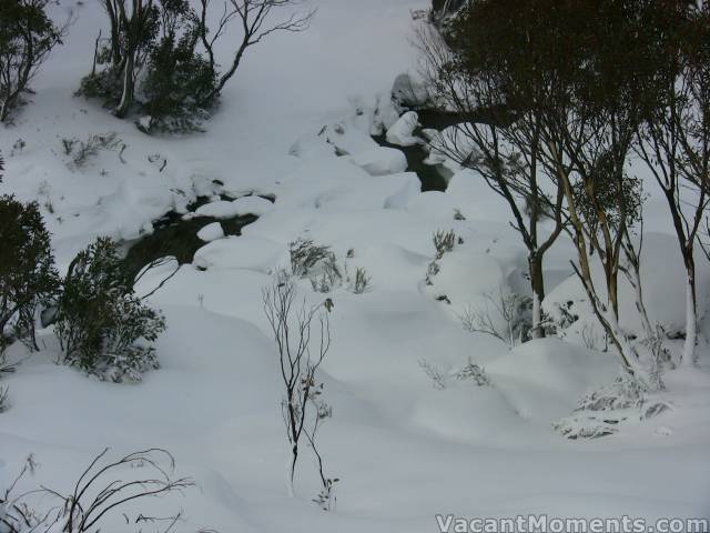 Beginning of Bunny Walk � not enough cover yet