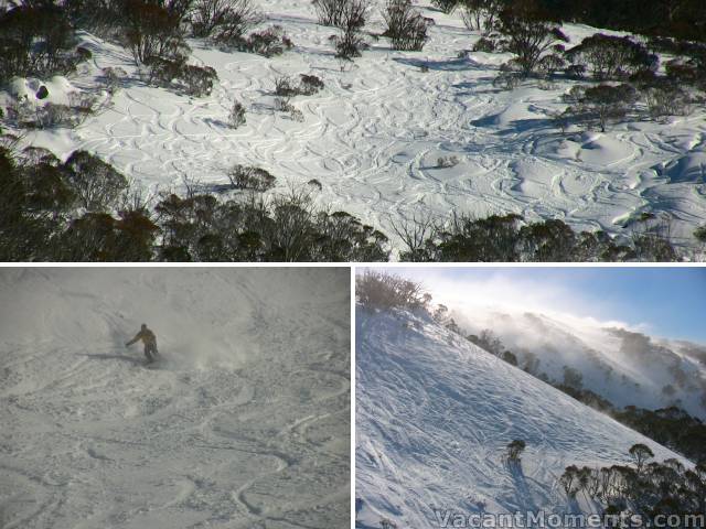 Swaggies, Wiamea, Powder Bowl to Stanley�s