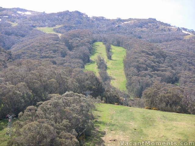 High Noon � lush green