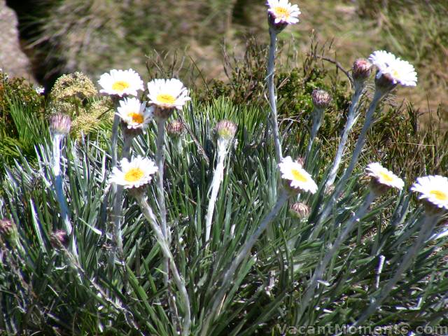 Looks like Spring