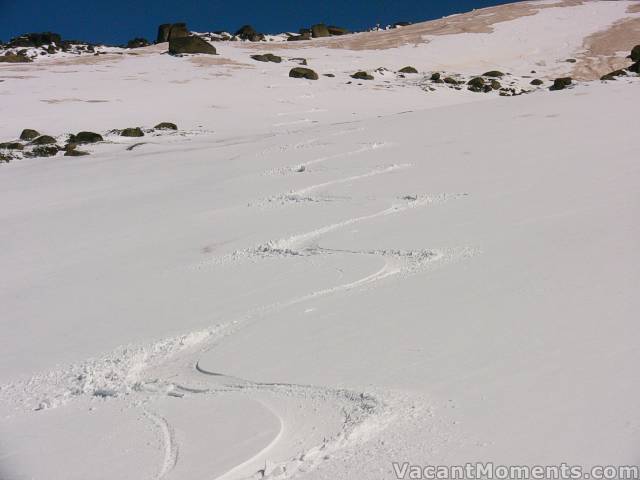 There were freshies all over � better low than high