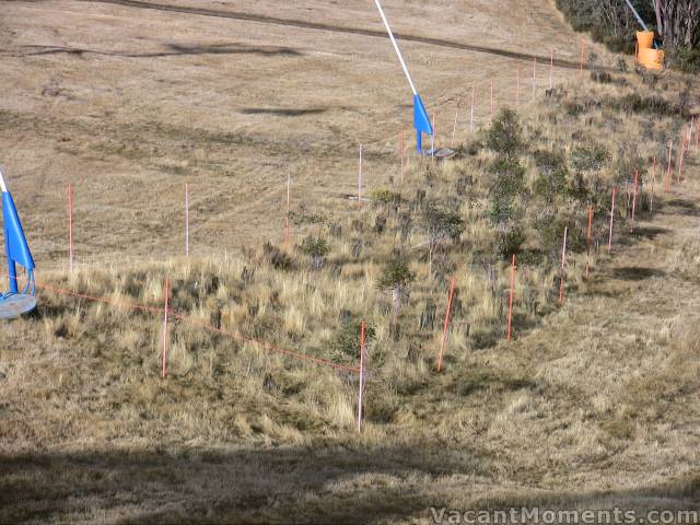 Saturday: The fences are up � all systems are 'go' � except for the white stuff
