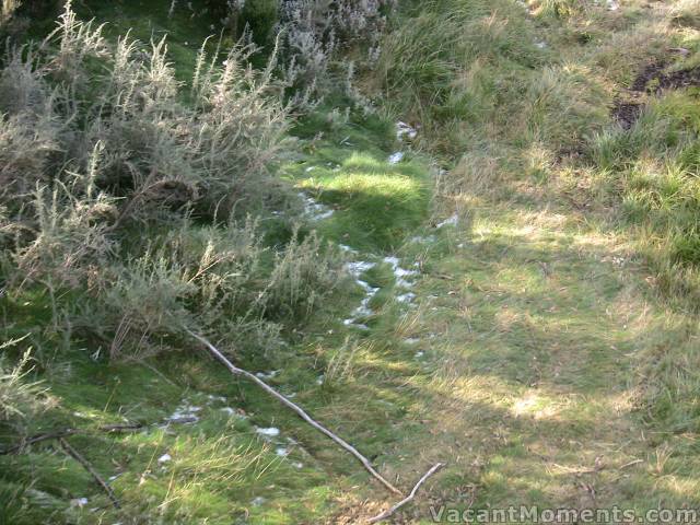 This is the snow just above mid-station � in its natural lie, I suspect